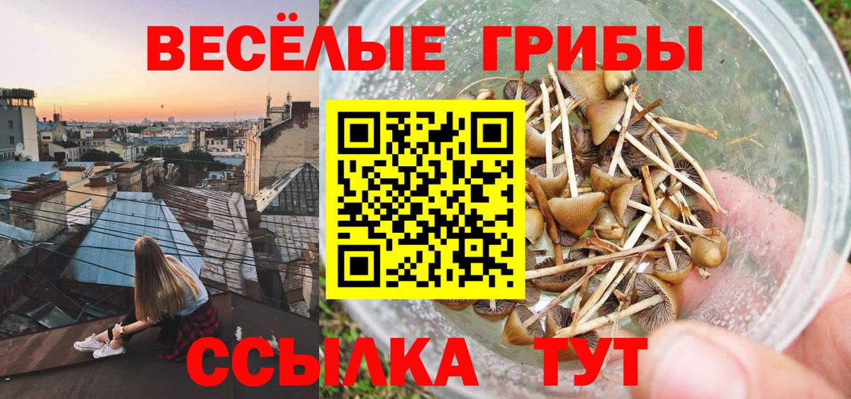Мариинск  Псилоцибиновые грибы ЛСД  Вход с VPN 